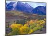 Colorful Aspens in Logan Canyon, Utah, USA-Julie Eggers-Mounted Photographic Print