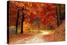 Stretched Canvas