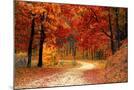 Wood Mount