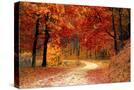Stretched Canvas