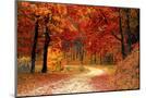 Wood Mount