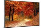 Wood Mount