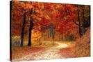 Stretched Canvas