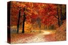 Stretched Canvas