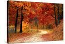 Stretched Canvas