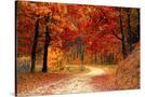 Stretched Canvas
