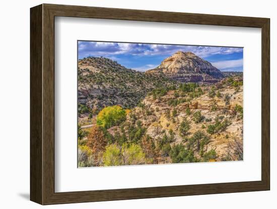 Colorful Autumn, Canyonlands National Park, Needles District, Utah-William Perry-Framed Photographic Print