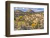 Colorful Autumn, Canyonlands National Park, Needles District, Utah-William Perry-Framed Photographic Print