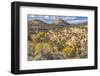 Colorful Autumn, Canyonlands National Park, Needles District, Utah-William Perry-Framed Photographic Print