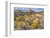 Colorful Autumn, Canyonlands National Park, Needles District, Utah-William Perry-Framed Photographic Print