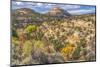 Colorful Autumn, Canyonlands National Park, Needles District, Utah-William Perry-Mounted Photographic Print