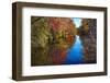 Colorful Autumn Foliage Reflected in a Canal-George Oze-Framed Photographic Print