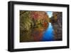 Colorful Autumn Foliage Reflected in a Canal-George Oze-Framed Photographic Print