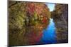 Colorful Autumn Foliage Reflected in a Canal-George Oze-Mounted Photographic Print