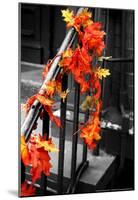 Colorful Autumn Leaves on Railing-null-Mounted Poster
