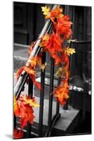 Colorful Autumn Leaves on Railing-null-Mounted Photo