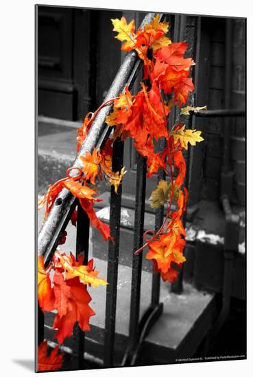 Colorful Autumn Leaves on Railing-null-Mounted Photo