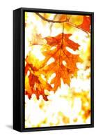 Colorful Autumn Leaves-soupstock-Framed Stretched Canvas