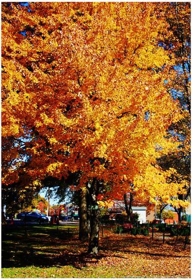 Poster, , large