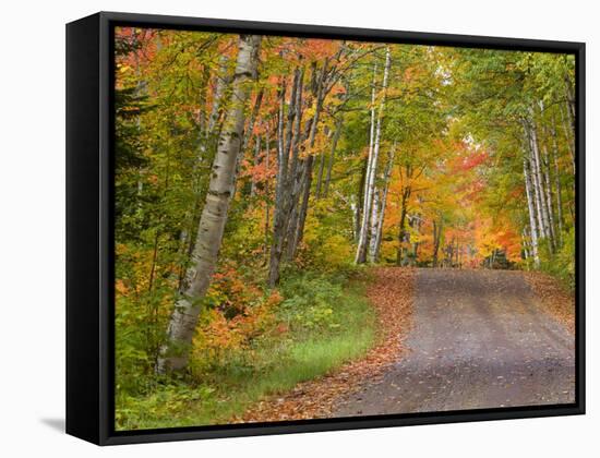 Colorful Autumn Trees, Keweenaw Penninsula, Michigan, USA-Chuck Haney-Framed Stretched Canvas