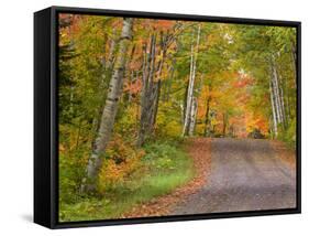 Colorful Autumn Trees, Keweenaw Penninsula, Michigan, USA-Chuck Haney-Framed Stretched Canvas