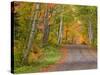 Colorful Autumn Trees, Keweenaw Penninsula, Michigan, USA-Chuck Haney-Stretched Canvas