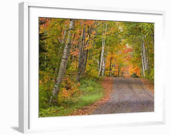 Colorful Autumn Trees, Keweenaw Penninsula, Michigan, USA-Chuck Haney-Framed Photographic Print