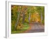 Colorful Autumn Trees, Keweenaw Penninsula, Michigan, USA-Chuck Haney-Framed Photographic Print