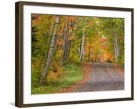 Colorful Autumn Trees, Keweenaw Penninsula, Michigan, USA-Chuck Haney-Framed Photographic Print