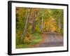 Colorful Autumn Trees, Keweenaw Penninsula, Michigan, USA-Chuck Haney-Framed Photographic Print
