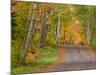 Colorful Autumn Trees, Keweenaw Penninsula, Michigan, USA-Chuck Haney-Mounted Photographic Print