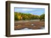 Colorful autumn trees on a shore of a lake in northern Ontario, Canada-null-Framed Photographic Print