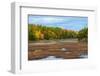 Colorful autumn trees on a shore of a lake in northern Ontario, Canada-null-Framed Photographic Print