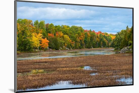 Colorful autumn trees on a shore of a lake in northern Ontario, Canada-null-Mounted Photographic Print