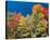 Colorful Autumn Trees-null-Stretched Canvas