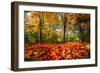 Colorful Autumn-Philippe Sainte-Laudy-Framed Photographic Print