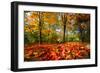 Colorful Autumn-Philippe Sainte-Laudy-Framed Photographic Print