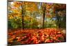 Colorful Autumn-Philippe Sainte-Laudy-Mounted Photographic Print