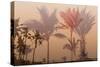 Colorful Background with Silhouette of Palm Trees on the Beach. Tropical Seasonal Background for To-Romas_Photo-Stretched Canvas