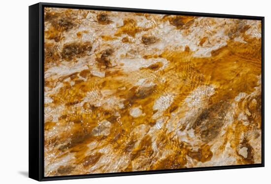 Colorful Bacteria Mat Surrounding Grand Prismatic Spring-CrackerClips Stock Media-Framed Stretched Canvas