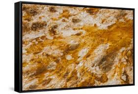 Colorful Bacteria Mat Surrounding Grand Prismatic Spring-CrackerClips Stock Media-Framed Stretched Canvas