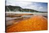 Colorful Bacteria Mat Surrounding Grand Prismatic Spring-CrackerClips Stock Media-Stretched Canvas
