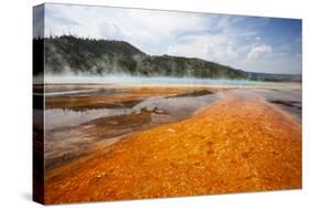 Colorful Bacteria Mat Surrounding Grand Prismatic Spring-CrackerClips Stock Media-Stretched Canvas