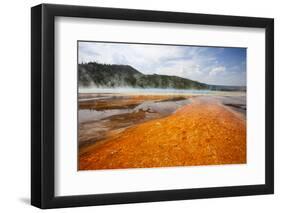 Colorful Bacteria Mat Surrounding Grand Prismatic Spring-CrackerClips Stock Media-Framed Photographic Print