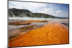 Colorful Bacteria Mat Surrounding Grand Prismatic Spring-CrackerClips Stock Media-Mounted Photographic Print