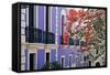 Colorful Balconies of San Juan, Puerto Rico-George Oze-Framed Stretched Canvas