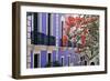 Colorful Balconies of San Juan, Puerto Rico-George Oze-Framed Photographic Print