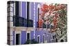 Colorful Balconies of San Juan, Puerto Rico-George Oze-Stretched Canvas
