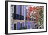 Colorful Balconies of San Juan, Puerto Rico-George Oze-Framed Photographic Print