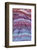 Colorful Bands of Layered Sediment in the Vermillion Cliffs NM, Utah-Chuck Haney-Framed Photographic Print